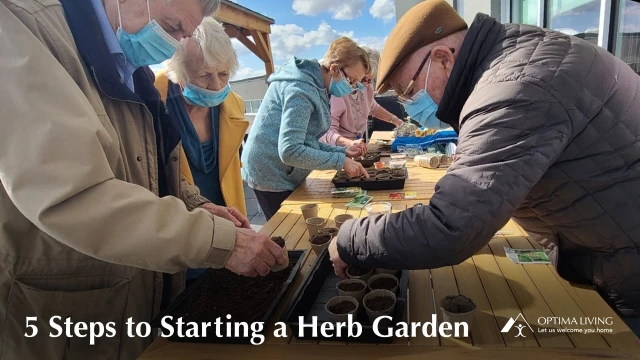 5 Steps to Starting a Herb Garden